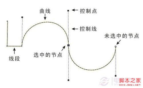 如何用好PS中的钢笔工具