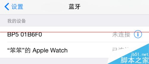 Apple Watch的名称该如何更改