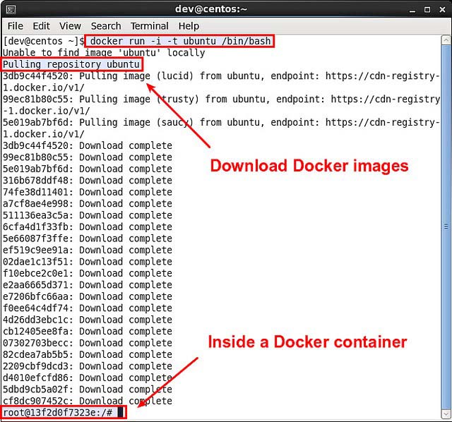 怎么在CentOS或Fedora上运行Docker容器