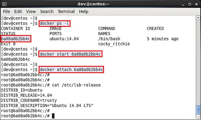 怎么在CentOS或Fedora上运行Docker容器