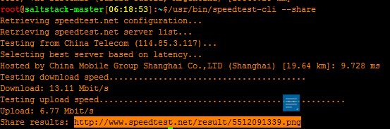 怎么在Linux系统中使用Speedtest测试网速