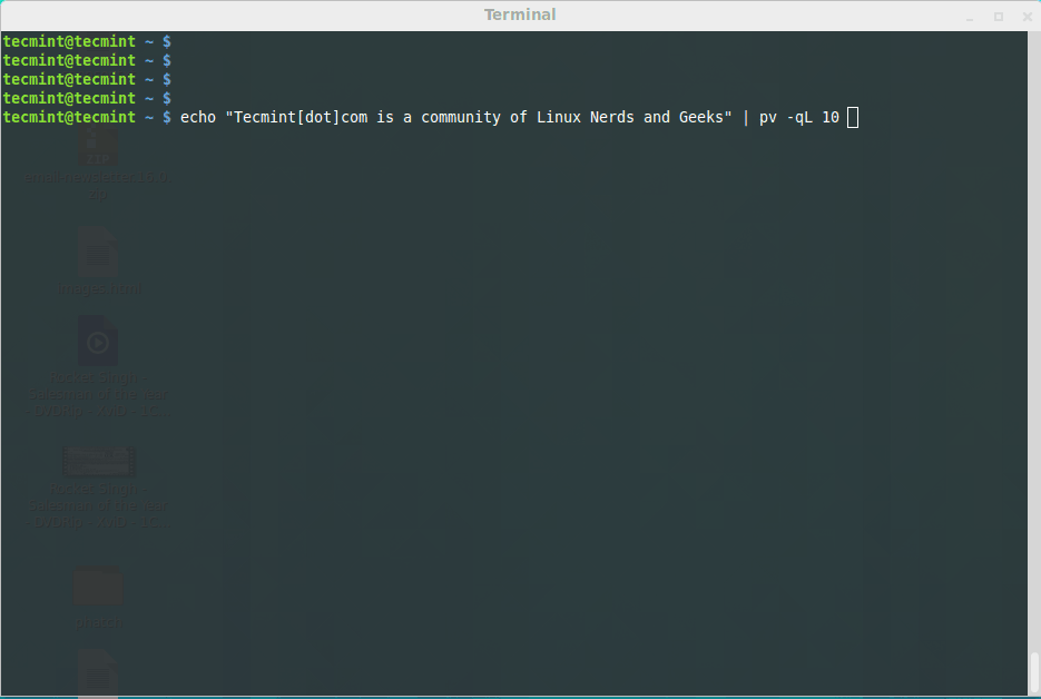 如何在Linux系统中使用pv命令