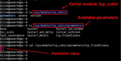 如何显示Linux系统的内置模块和设备驱动列表