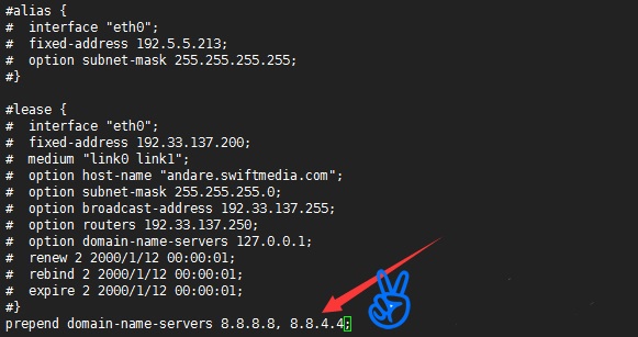 怎么修改Linux系统VPS主机的DNS