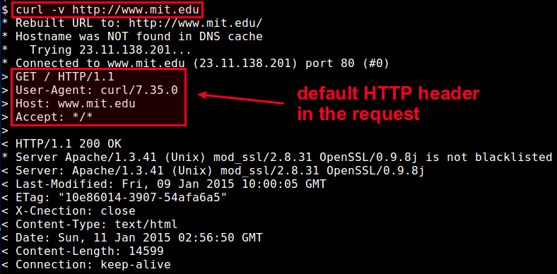 Linux系统中怎么使用curl自定义HTTP头