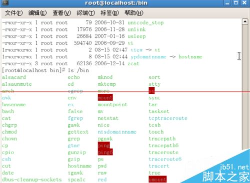 如何利用linux命令查看某个目录的内容