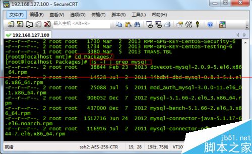 Linux系統下掛載光盤的方法