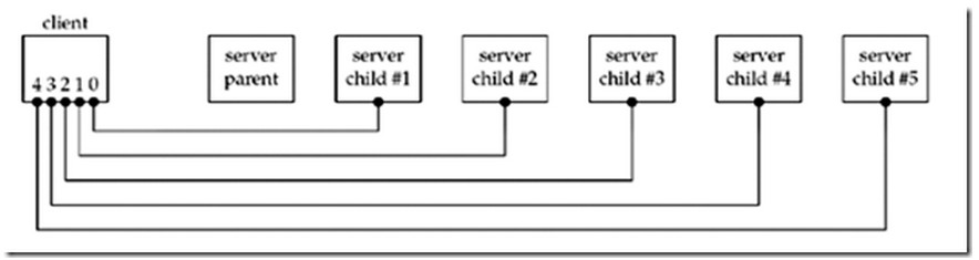 Linux网络编程wait()和waitpid()的详细讲解