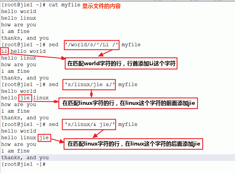 linux服务器中怎么使用sed命令