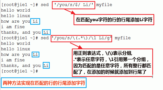 linux服务器中怎么使用sed命令