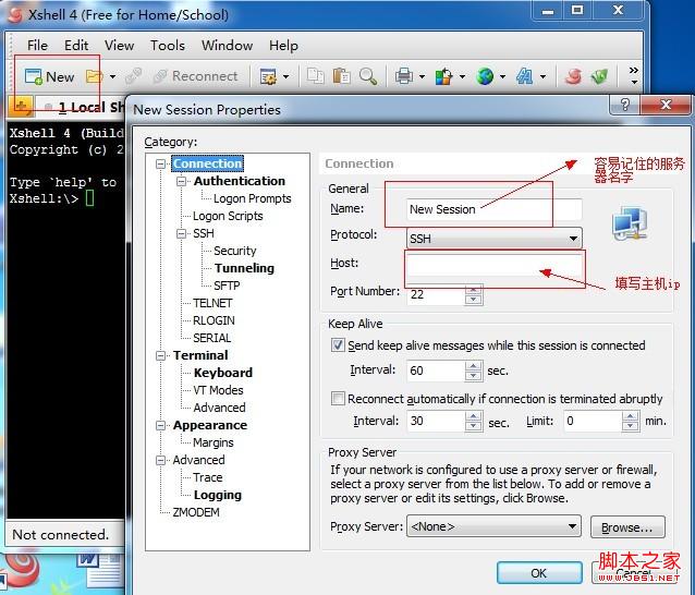 linux怎么安装web环境