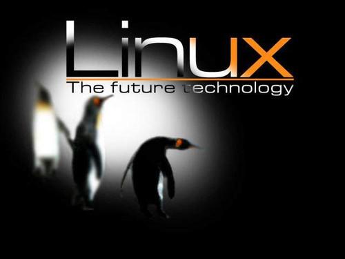 让新手逐渐掌握linux系统维护的四大妙招是怎样的