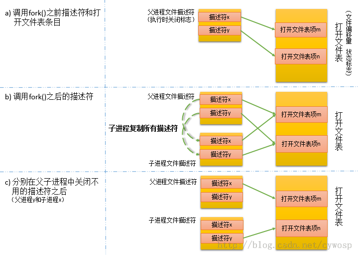 怎么在Linux中使用fork()函数