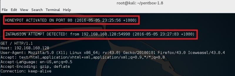 在Kali Linux环境下如何设置蜜罐