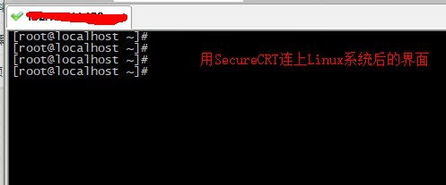 Linux如何统计文本的的行数/单词数和字符数