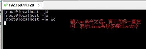 Linux如何统计文本的的行数/单词数和字符数