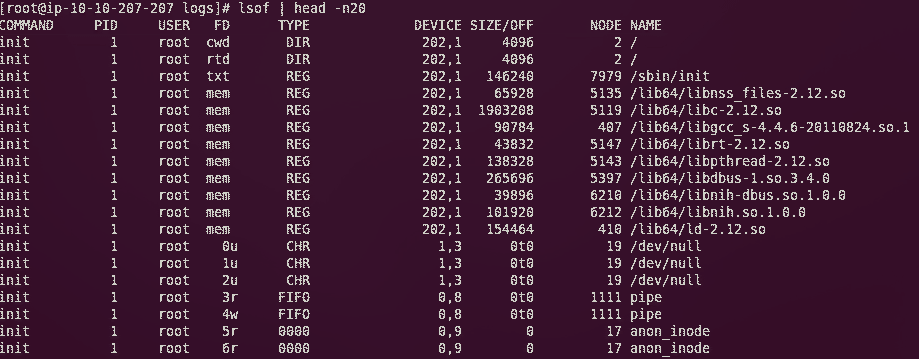 lsof 命令怎么在Linux中使用