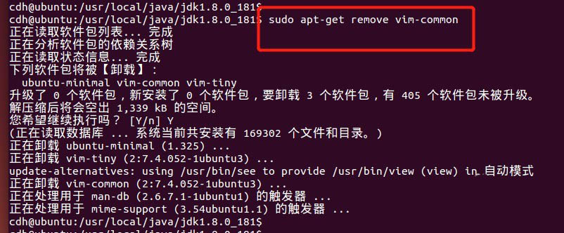 Ubuntu如何解决vi编辑器按上下左右变成ABCD的问题