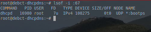 怎么在Debian系统上安装ISC DHCP服务器