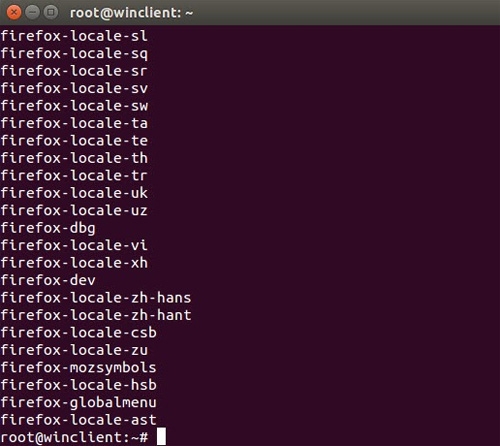 Ubuntu安装包信息怎么查看