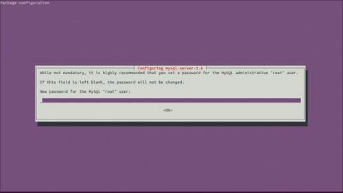 怎么在Ubuntu上安装服务器控制面板