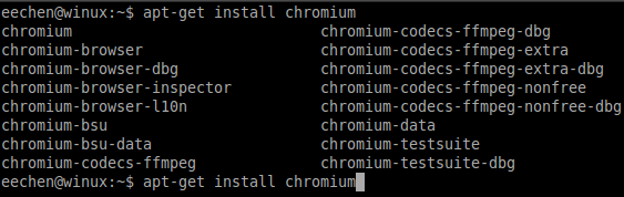 Ubuntu系统上Chromium浏览器的安装步骤