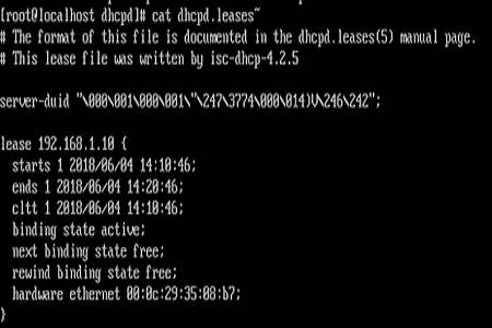 如何在linux中启动dhcp服务器