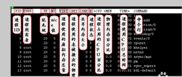 linux中top命令的使用方法