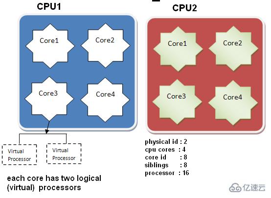 linux系统中如何查看cpu信息