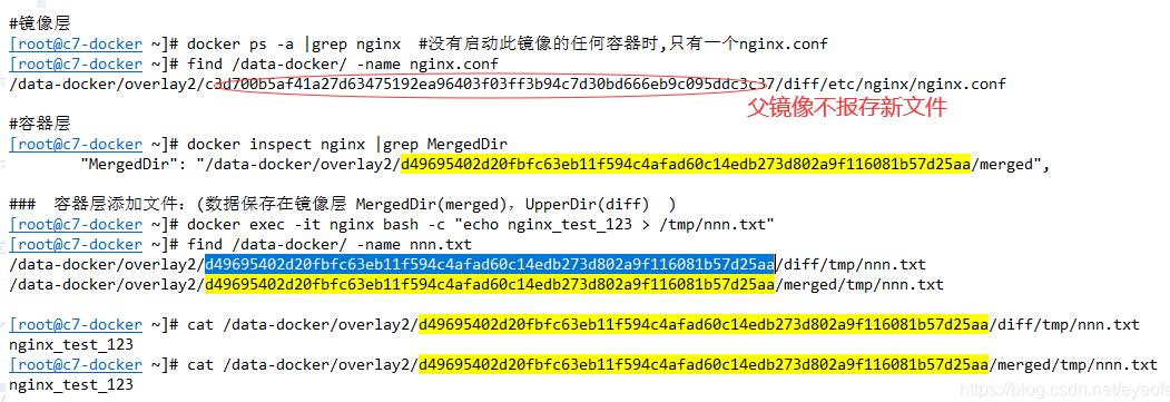 docker如何获取容器的启动命令