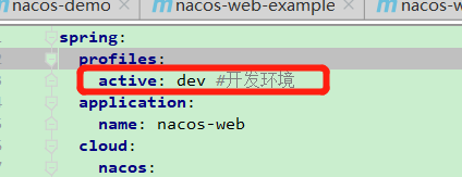 Java springboot 整合 Nacos的代码实例