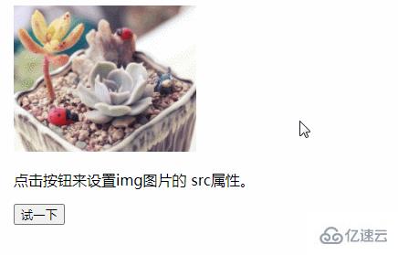 怎么在javascript中设置src属性