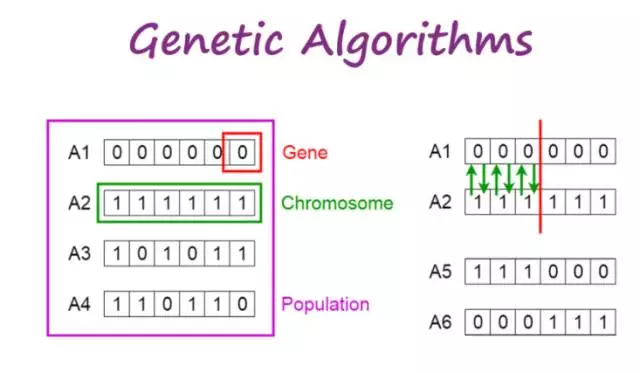 Java遗传算法的基本概念和实现方法是什么