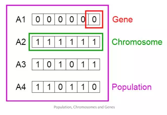 Java遗传算法的基本概念和实现方法是什么