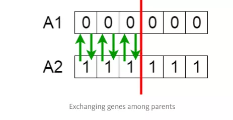 Java遗传算法的基本概念和实现方法是什么