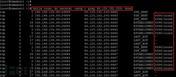 Linux中怎么实现应急响应