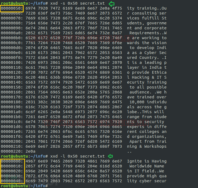 Linux中怎么利用xxd命令进行提权