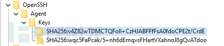 怎样从Windows 10 SSH-Agent中提取SSH私钥
