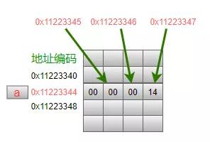 總結C語言指針從底層原理到花式技巧