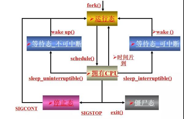 C语言中有哪些进程的状态模型