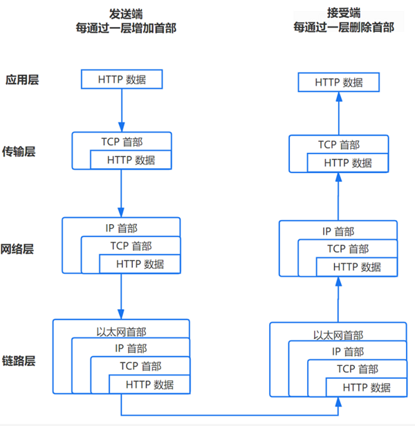 输入网址按回车会发生什么