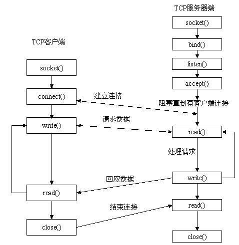 Socket编程的知识点有哪些