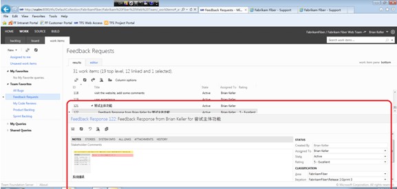 如何进行Visual Studio 11反馈管理器的使用分析