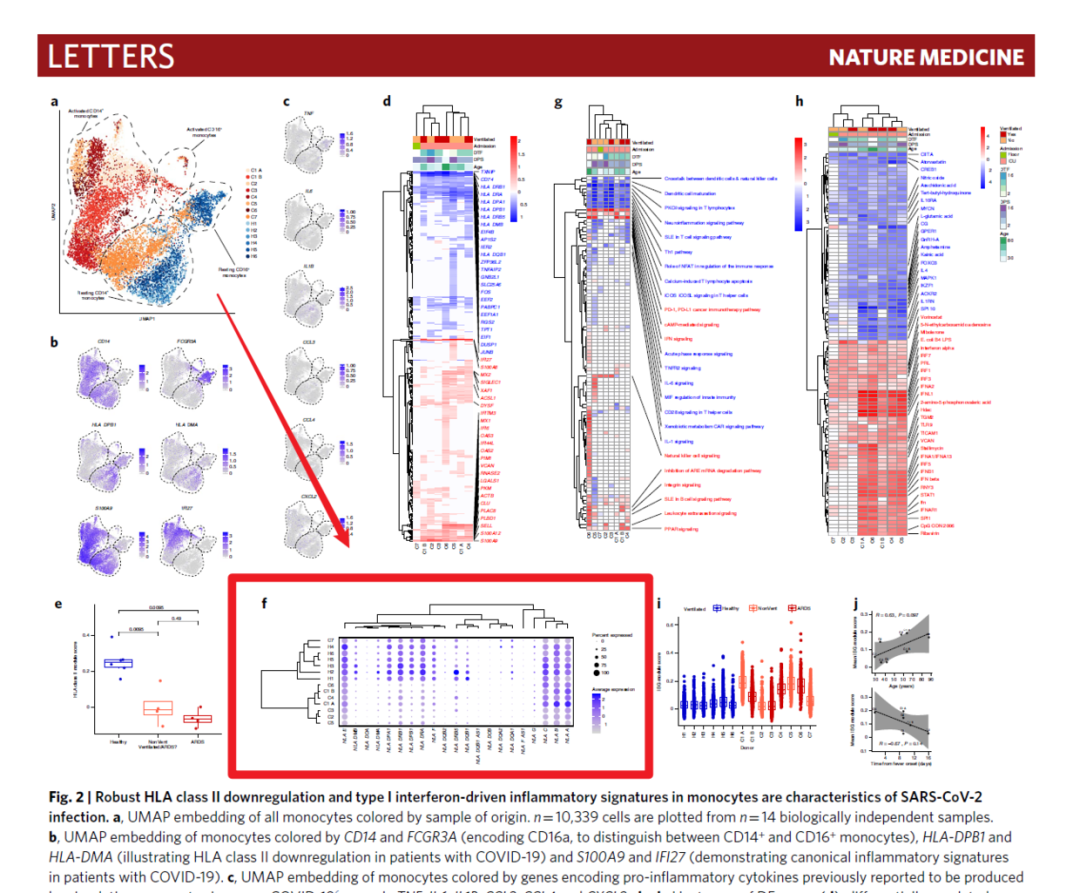 怎么用R语言ggplot2画气泡图来展示基因表达量