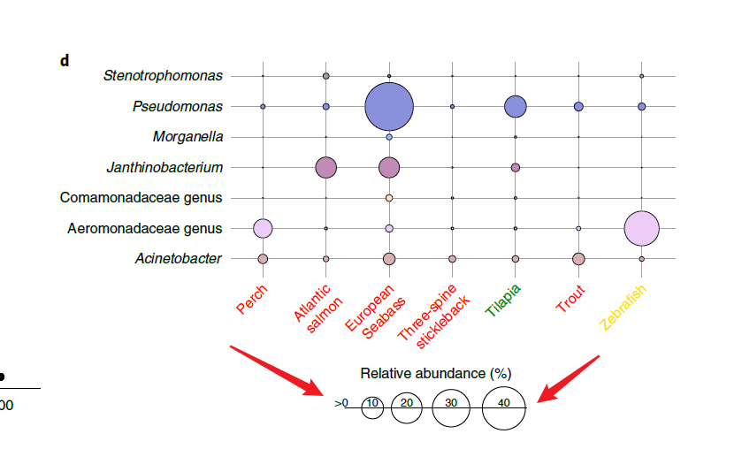 如何使用R语言ggplot2进行图例去掉灰色背景、添加椭圆和圆形分组边界