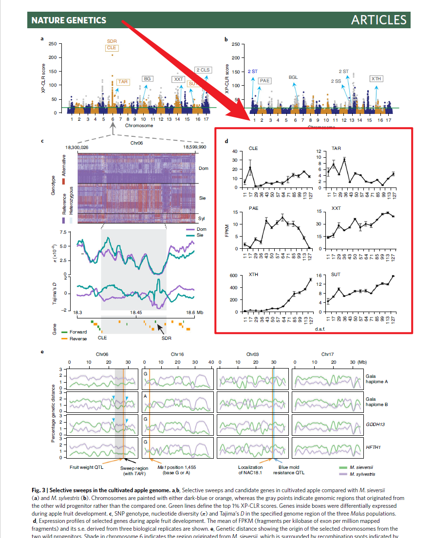 如何用R语言ggplot2画折线图并添加误差线