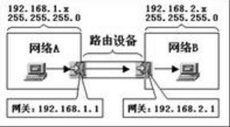 ip地址、子网掩码、网关与网卡、DNS的用处和区别是什么