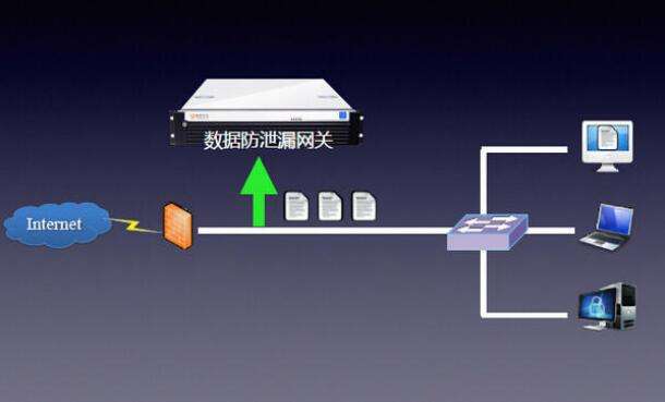 ip地址、子网掩码、网关与网卡、DNS的用处和区别是什么