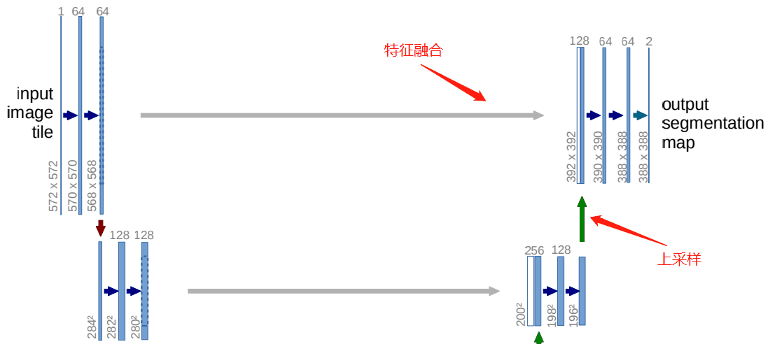 如何分析Pytorch中UNet网络结构以及代码编写